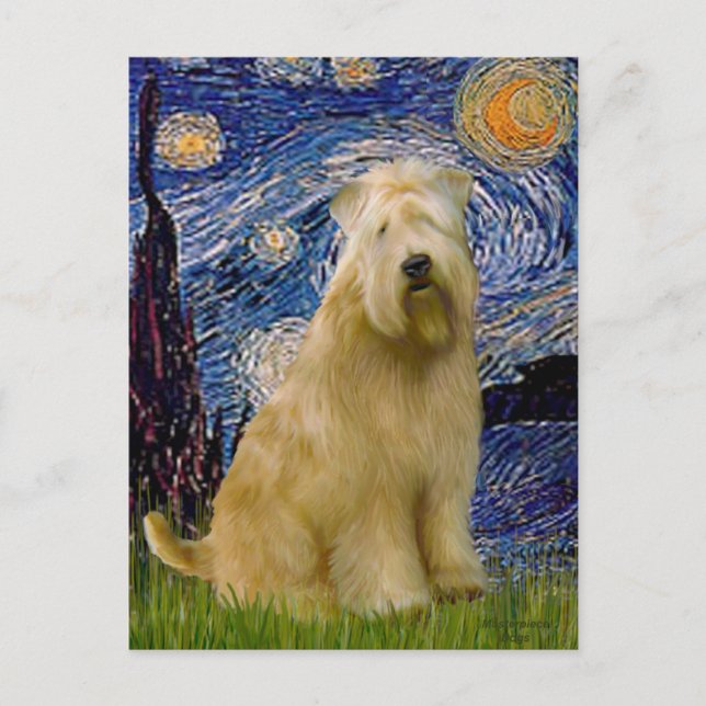 Carte Postale Nuit étoilée (V) - Wheaten Terrier (Devant)