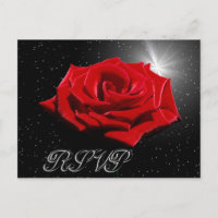 Nuit romantique étoilée