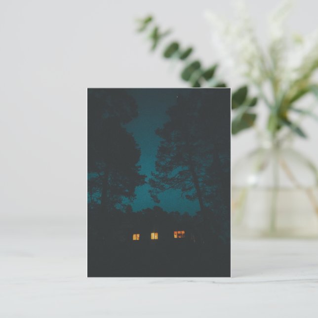 Carte Postale Nuits en cabane dans l'archipel (Debout devant)