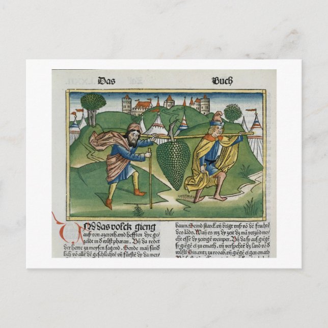 Carte Postale Numéros 13 23 Les raisins d'Eschol, de la 'Nure (Devant)