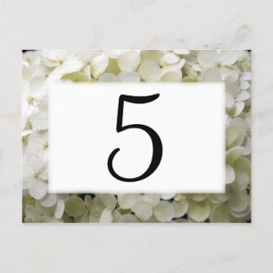 Carte Postale Numéros de tableau blanc des fleurs d'Hydrangée