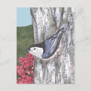 Carte postale Nuthatch à poitrine blanche et Fleur