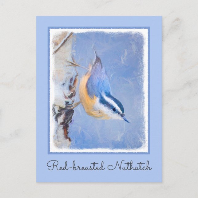 Carte Postale Nuthatch à poitrine rouge Peinture d'art original  (Devant)