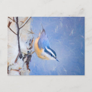 Carte Postale Nuthatch à poitrine rouge Peinture d'art original