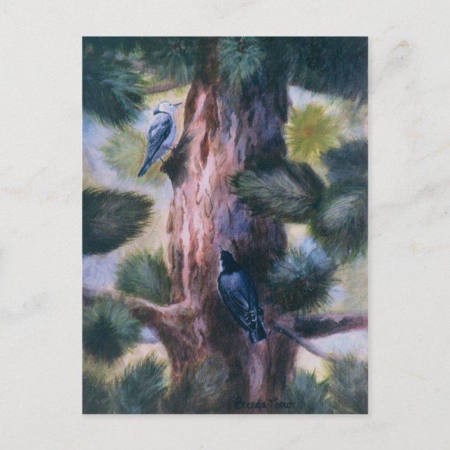 Carte Postale Nuthatch Amour À Première Vue (Devant)