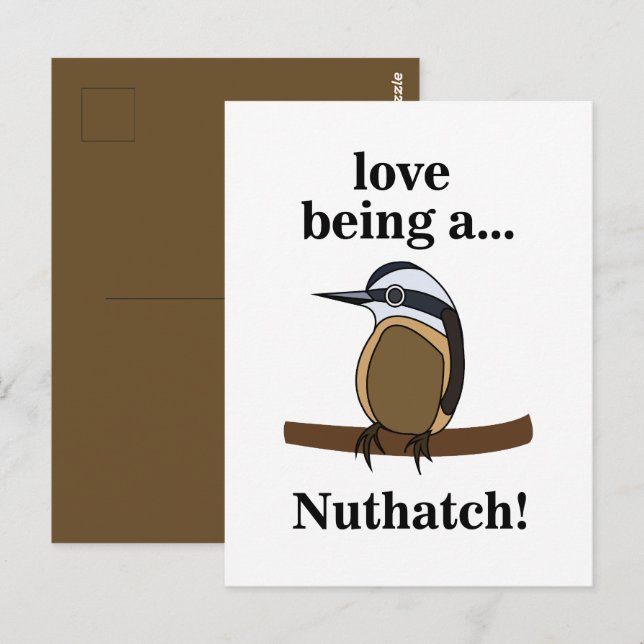 Carte Postale Nuthatch Bird Backyard Birder Birdwatcher (Devant / Derrière)