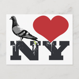Carte Postale NY Pigeon