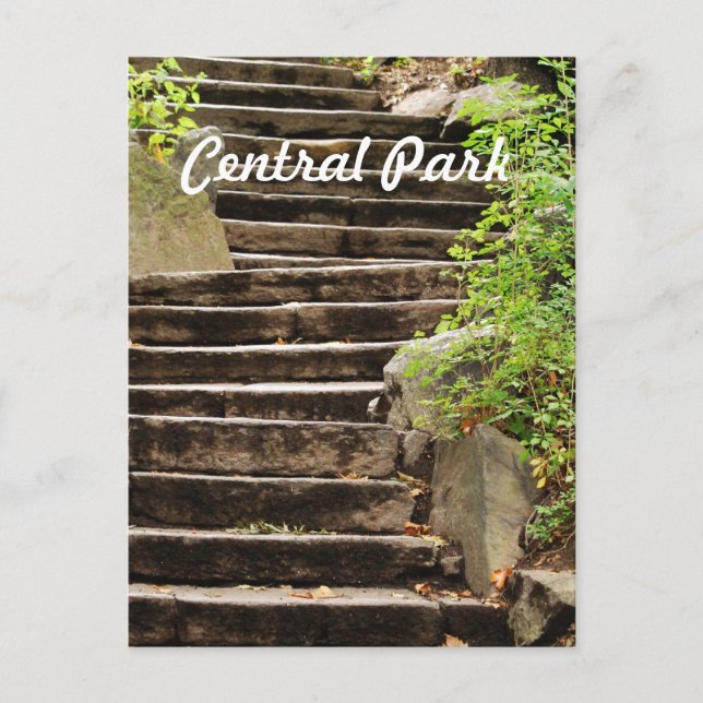 Carte Postale NYC Central Park (Devant)