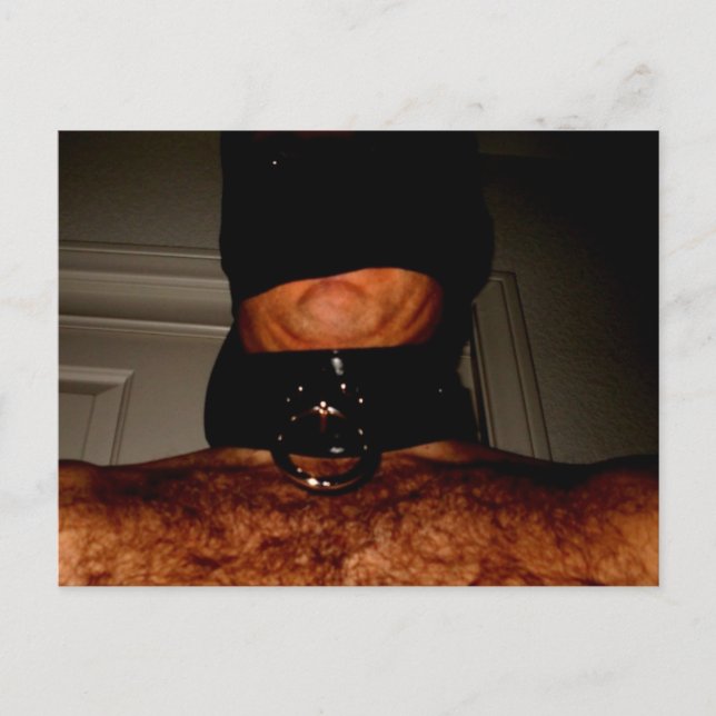 CARTE POSTALE NYLONS ET COLLAR 2 (Devant)