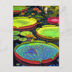 Carte postale Nymphaeales
