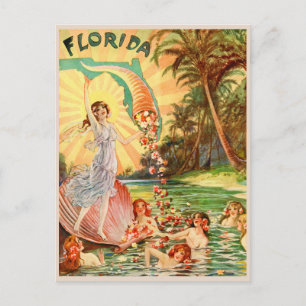 Carte Postale nymphes aquatiques de Floride illustration tourist