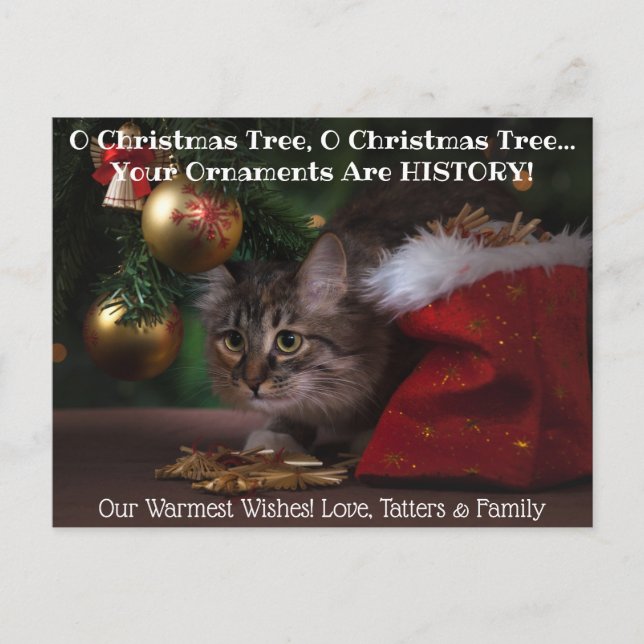Carte Postale O Christmas Tree Chat Photo de vacances (Devant)