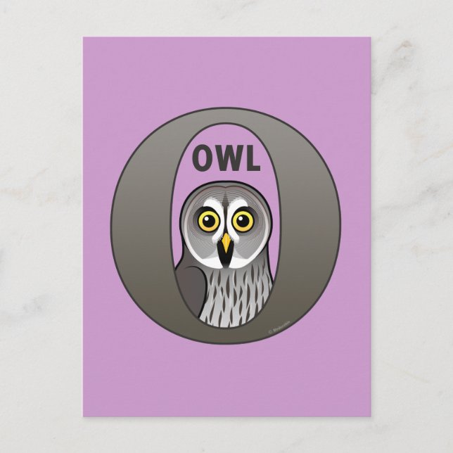 Carte Postale O est pour Owl (Devant)
