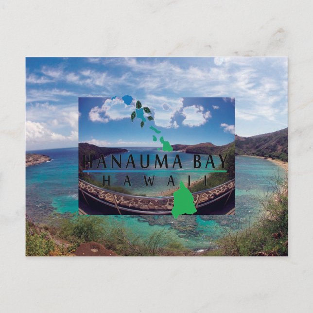 Carte Postale Oahu Island Turtle (Devant)