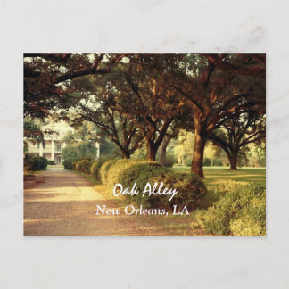 Carte postale Oak Alley New Orleans
