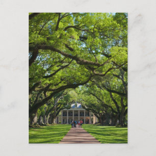 Carte Postale Oak Alley Plantation House