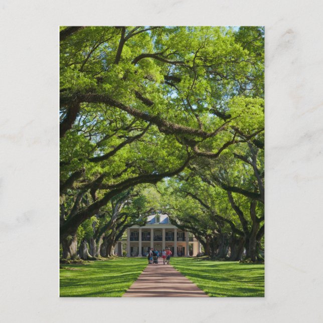 Carte Postale Oak Alley Plantation House (Devant)