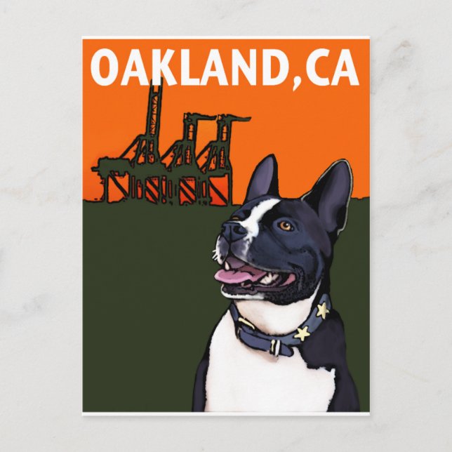Carte Postale OAKLAND, CA Mutt - Harry (Devant)