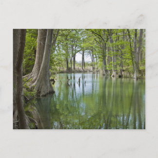 Carte postale - "Oasis"