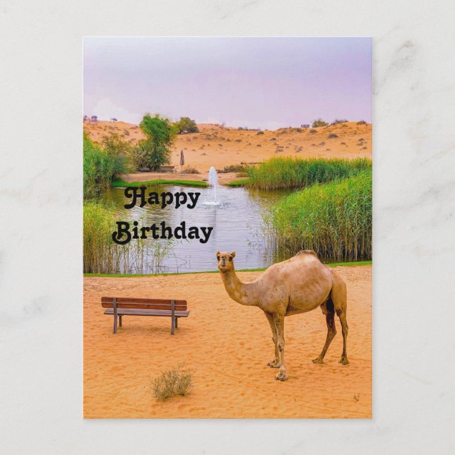Carte Postale Oasis de chameaux Photo Anniversaire faune (Devant)