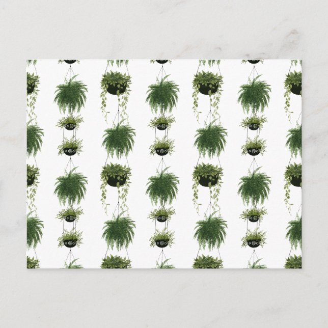 Carte Postale Oasis intérieure | Paniers pendants (Devant)