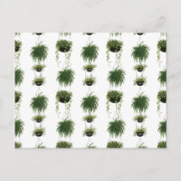 Oasis intérieure | Paniers pendants