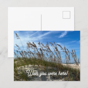 Carte postale "Oats de mer"