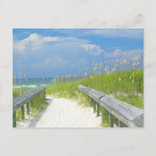 Carte Postale Oats de mer d'or