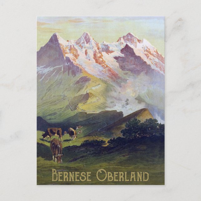 Carte Postale Oberland bernois, Suisse (Devant)