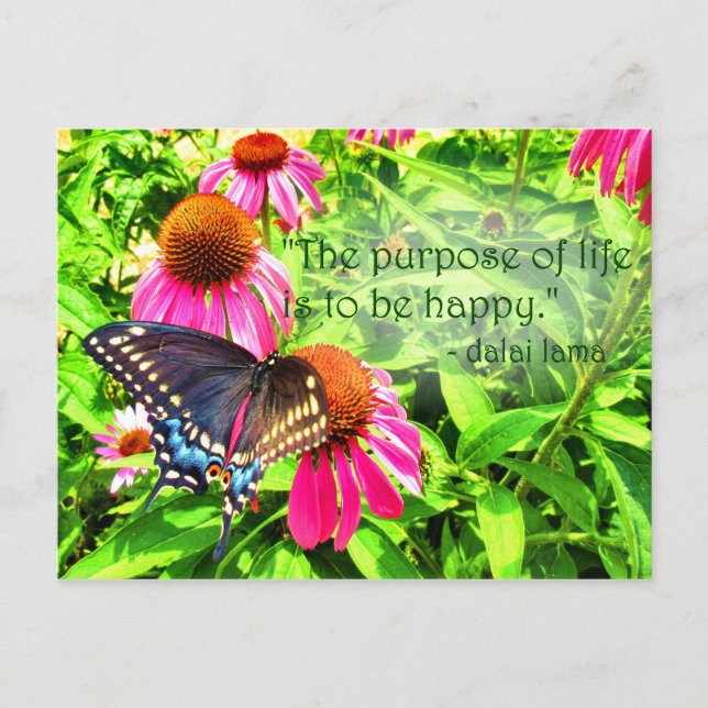 Carte Postale Objectif de vie Papillon noir heureux Swallowtail (Devant)