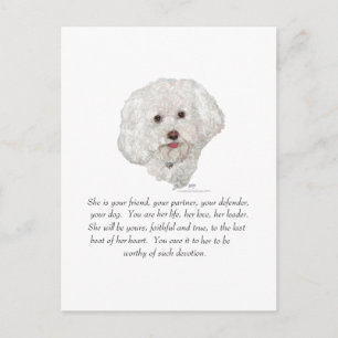 Carte Postale Objet souvenir, chienne