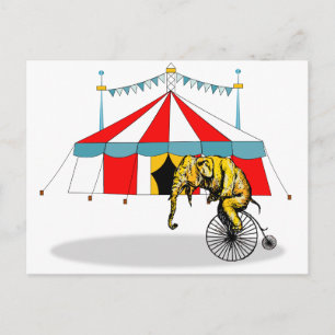 Carte Postale Objets souvenirs du cirque en mémoire des éléphant