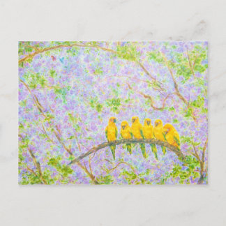 Carte Postale Observateur De La Famille