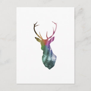 Carte Postale Observateur forestier