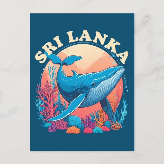 Carte Postale Observation de baleines bleues au Sri Lanka (Devant)