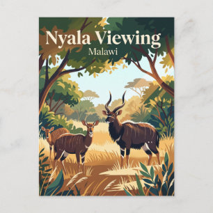 Carte Postale Observation de nyalas, parc national de Lengwe Mal