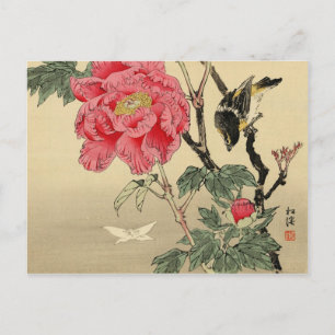 Carte Postale Observation d'un papillon par un oiseau