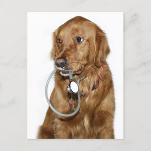 Carte Postale Obtenez bien golden retriever