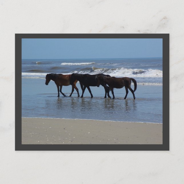 CARTE POSTALE OBX (Devant)