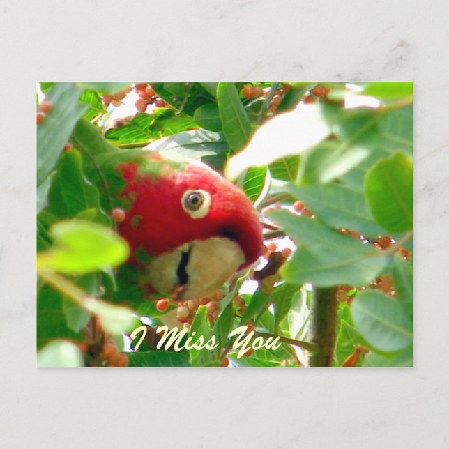 Carte Postale Occasions_ (Devant)