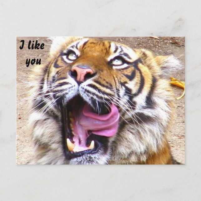 Carte Postale Occasions_ (Devant)