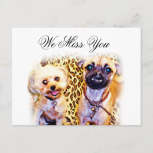 Carte Postale Occasions_