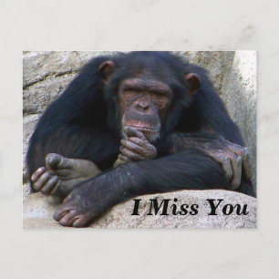 Carte Postale Occasions_