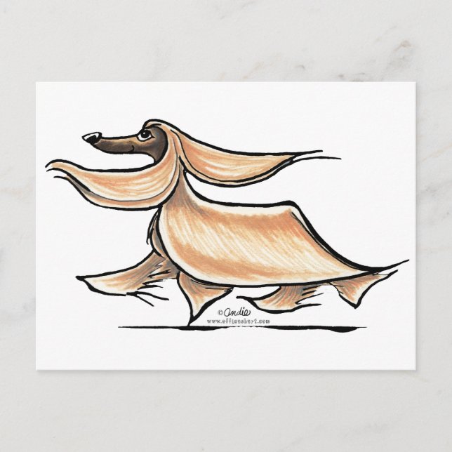 Carte Postale Occupé Afghan Hound (Devant)