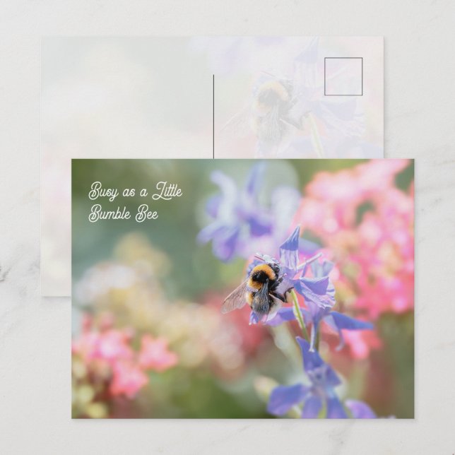 Carte Postale "Occupé comme une petite abeille bourdon" Fleurs p (Devant / Derrière)