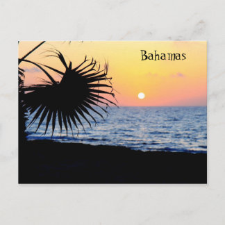 Carte postale Ocean