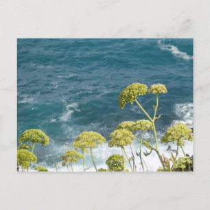 Carte postale Ocean