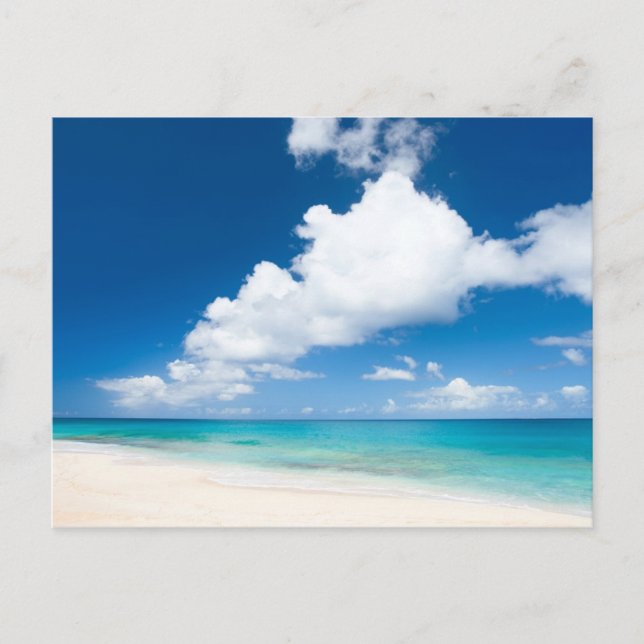 Carte Postale Ocean beach (Devant)