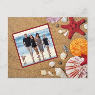 Carte Postale Ocean Beach Vacances Starfish Seashells Photo