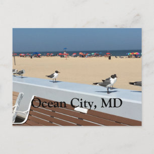Carte Postale Ocean City Beach, MD avec oiseaux